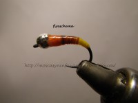 /album/fotogaleria-moscas/tricolor-o-patosa-jpg/